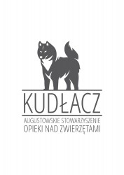 Kudłacz