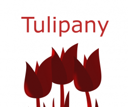 Tulipany