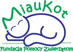 Miaukot